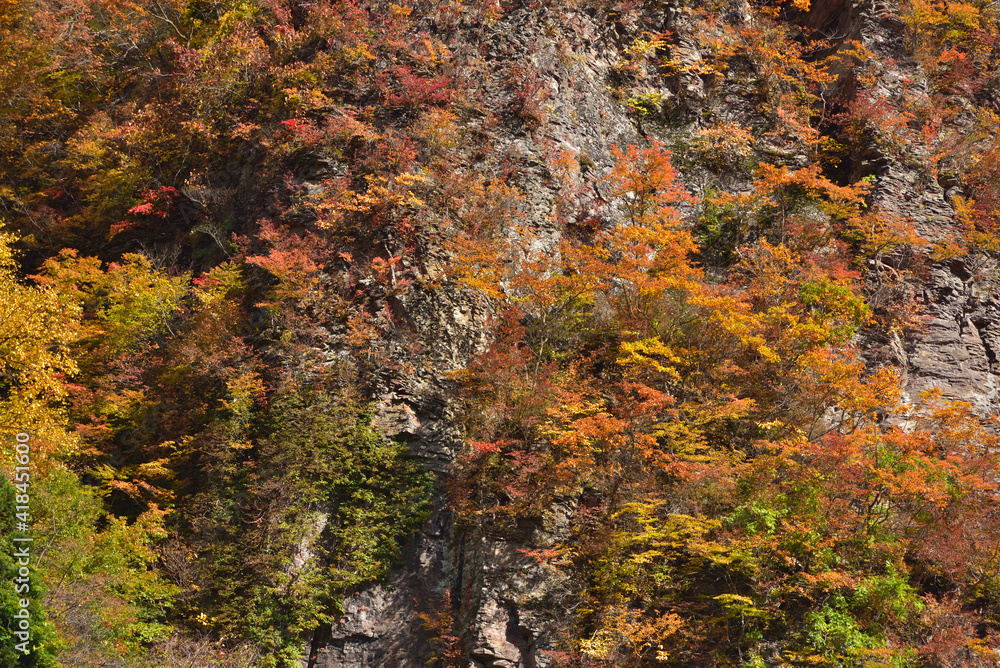 紅葉の山