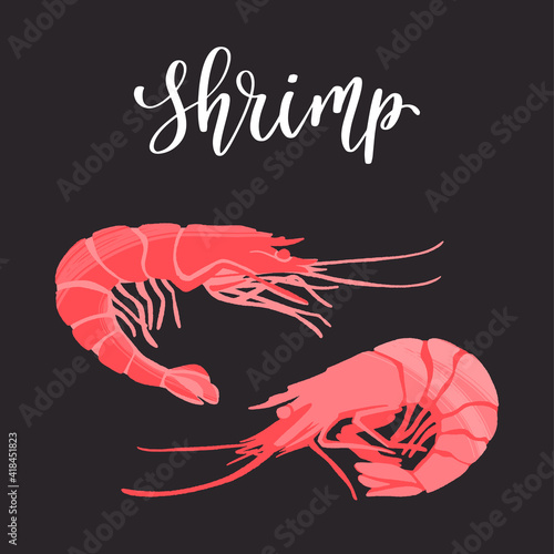 Seafood healthy nutrition product. Fresh tasty shrimps.