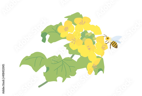 菜の花とミツバチ