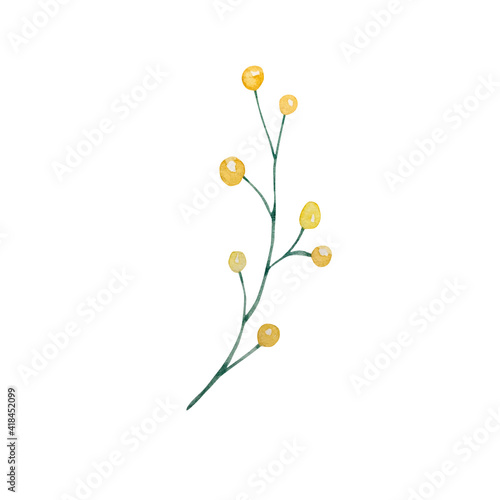 watercolor illustration of yellow round flowers on a green branch