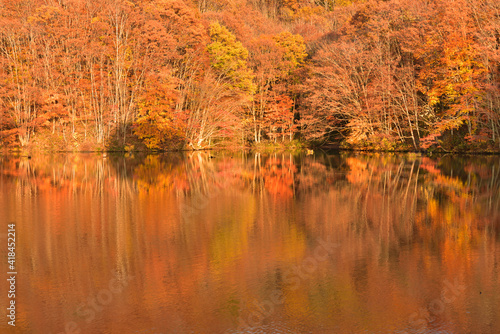 紅葉の湖