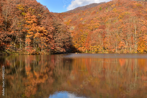 紅葉の湖