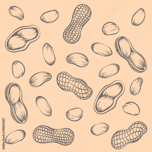 Seamless pattern peanuts drawn by hand. Vector illustration of peanut in nutshell and without it. Peanut, groundnut on a white background.