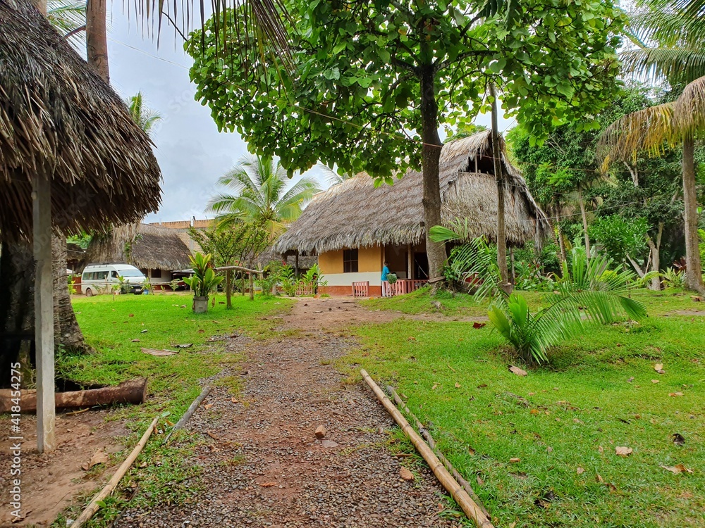 hut in the jungle