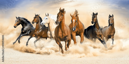 Obraz na plátně Seven horse running wall painting.