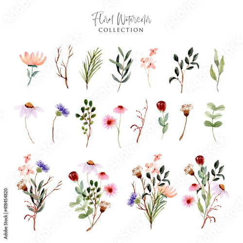 Canvas Print wild flower meadow watercolor collection