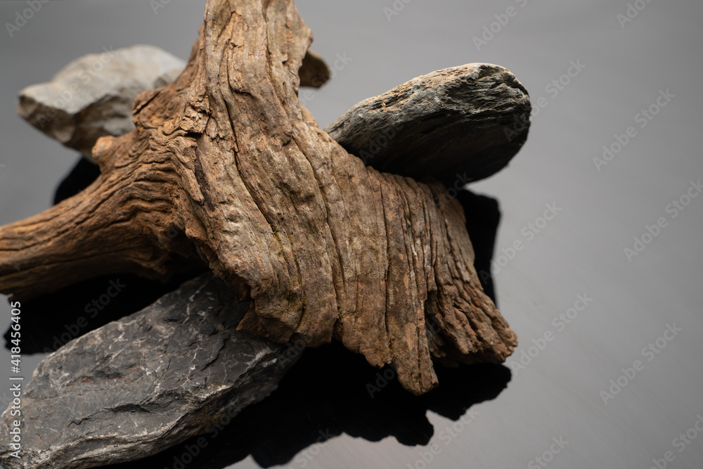 Natural frodo stones and driftwood with beautiful shape and textures