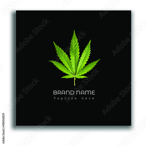 cannabis leaf illustration