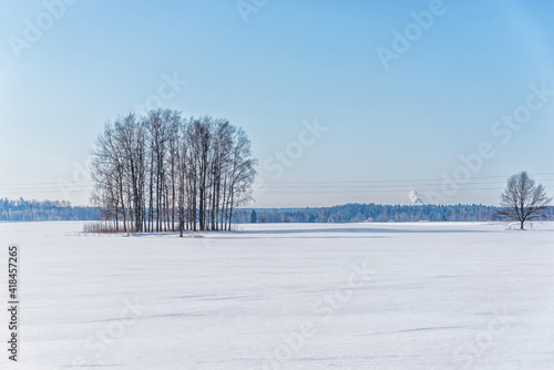 Snow Covered Field in Winter in Latvia © JonShore