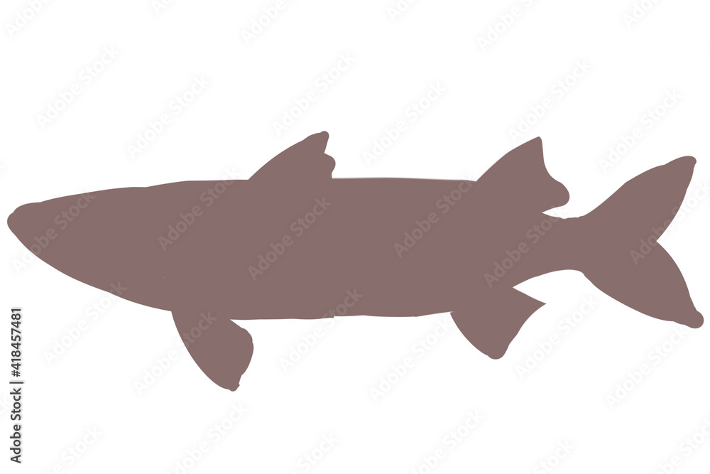 Obraz premium ボラ シルエット