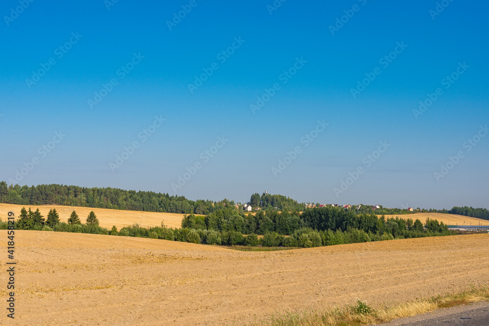 Belorussian fields at harvest time