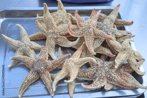 Sea stars as street food in China  Hangzhou