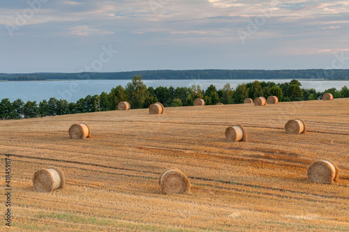 Fototapeta Naklejka Na Ścianę i Meble -  View of the Masurian fields.