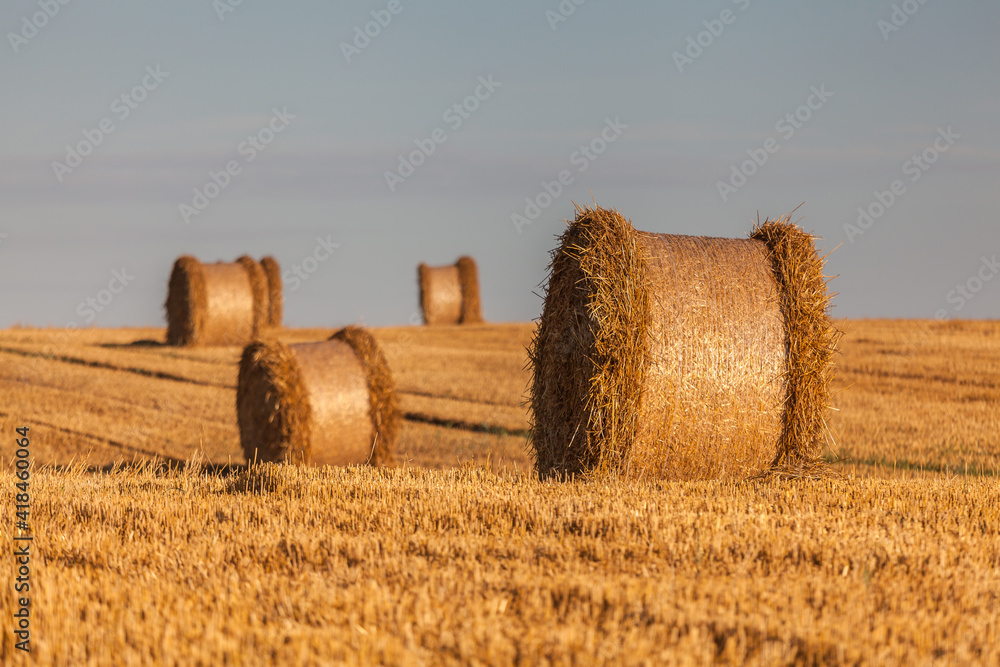 View of the Masurian fields.