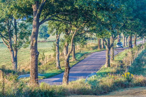 Fototapeta Naklejka Na Ścianę i Meble -  View of the Masurian road.