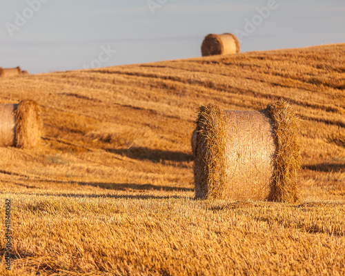 Fototapeta Naklejka Na Ścianę i Meble -  View of the Masurian fields.