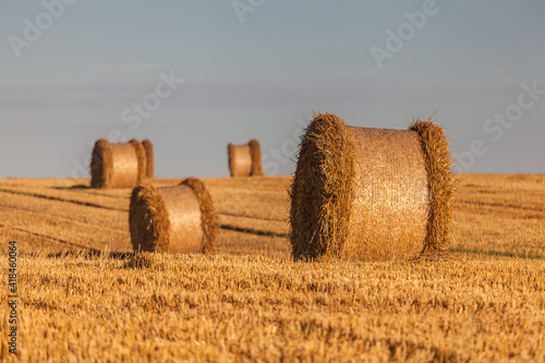 Fototapeta Naklejka Na Ścianę i Meble -  View of the Masurian fields.