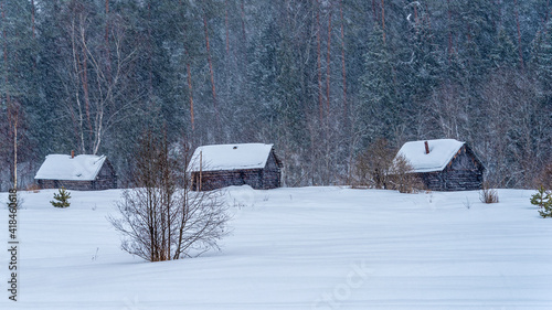 Wallpaper Mural Winter Rural landscape during a heavy snow storm. Blizzard. Torontodigital.ca
