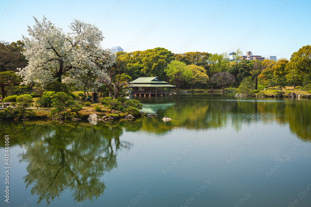Kiyosumi Garden with cherry blossom in Tokyo, Japan