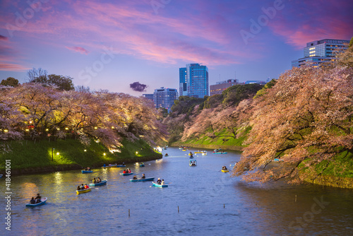 Photography night view of chidori ga fuchi, tokyo, japan with cherry blossom
