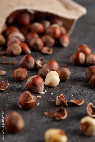 closeup selective focus image of hazelnuts in shells scattered from a vintage burlap sack onto dark background. Some are shelled and some are cracked. A metal nut cracker is there to crack open nuts.