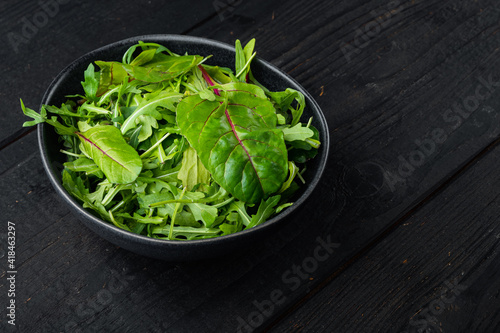 Fresh raw mixed greens Arugula raab  Mangold  Swiss chard  on black wooden table background  with copy space for text