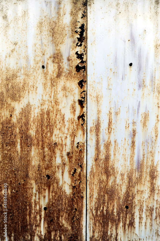 Fototapeta premium 錆びた扉