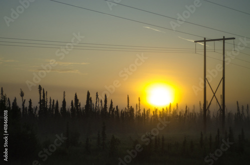 Smokey trees during forest fire in Alaska