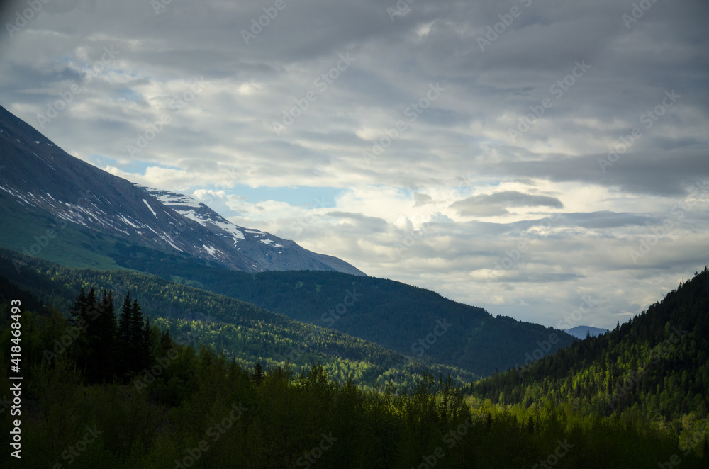 Alaska summer mountains