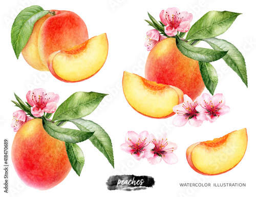 Peaches set with flowers and leaves watercolor illustration isolated on white background