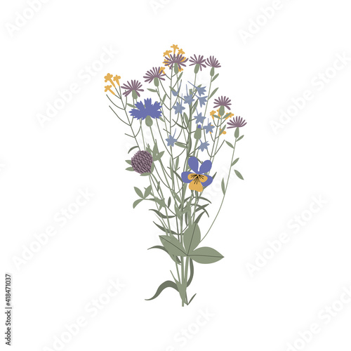 Vector color hand drawn illustration with a summer bouquet of wildflowers. Minimalist Flower, herb and medicinal plant. For logo design, tattoo, decor, postcard