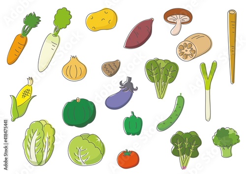 野菜セット