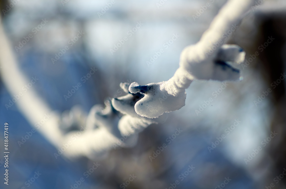 Clothes pins on the rope covered by snow