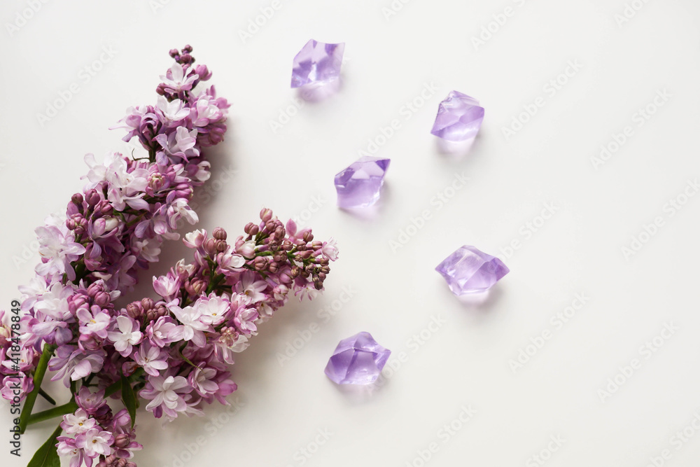 blank greeting card. spring flowers. branch of lilac on a white background
