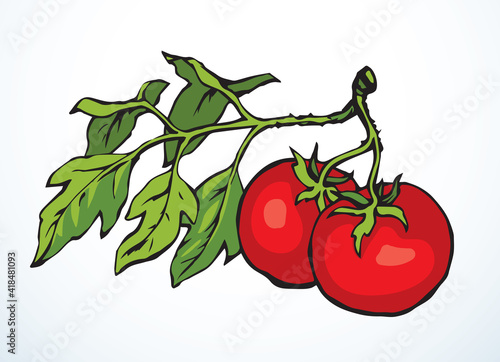 Tomatoes. Vector drawing icon sign