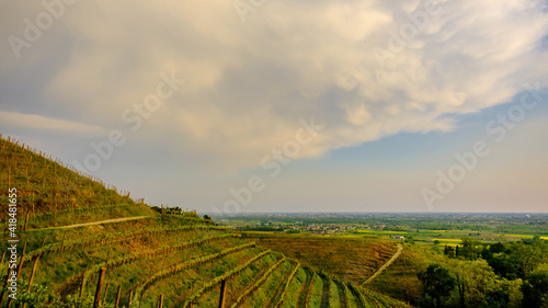 Evening storm in the vineyards