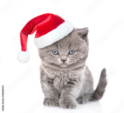 Cute kitten wearing a red christmas hat sits in front view and looks at camera. isolated on white background