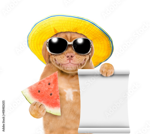Smiling puppy wearing sunglasses and summer hat holds a watermelon and empty list in it paws.  isolated on white background © Ermolaev Alexandr