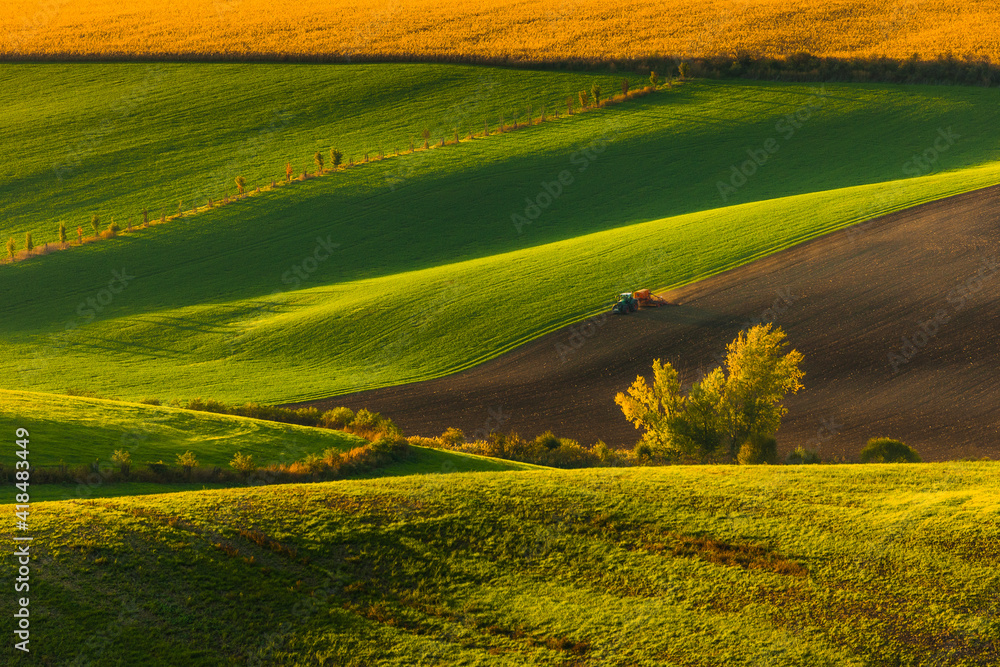 Obraz premium Autumn landscapes in South Moravia, Bohemia. The undulating fields shimmer with shades of green, brown and yellow.