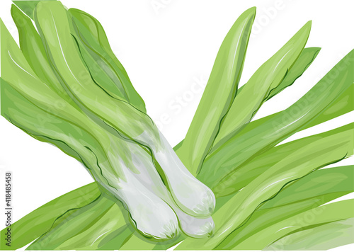 spindly leeks