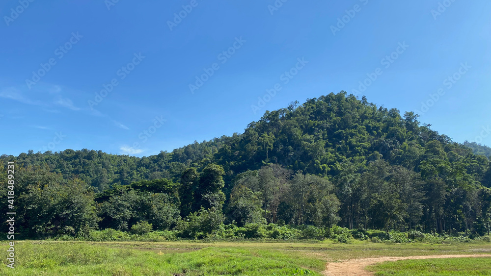 blue sky over wooded hillside in northern thailand