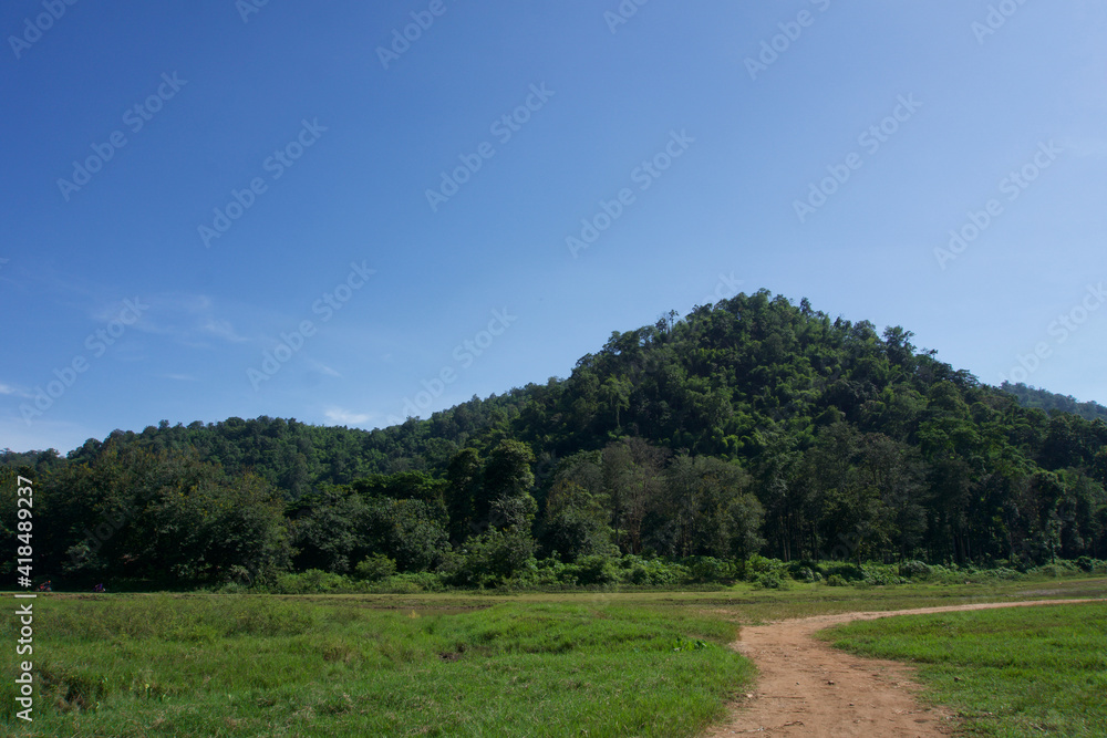 wooded hillside outside Chiang Mai in northern thailand