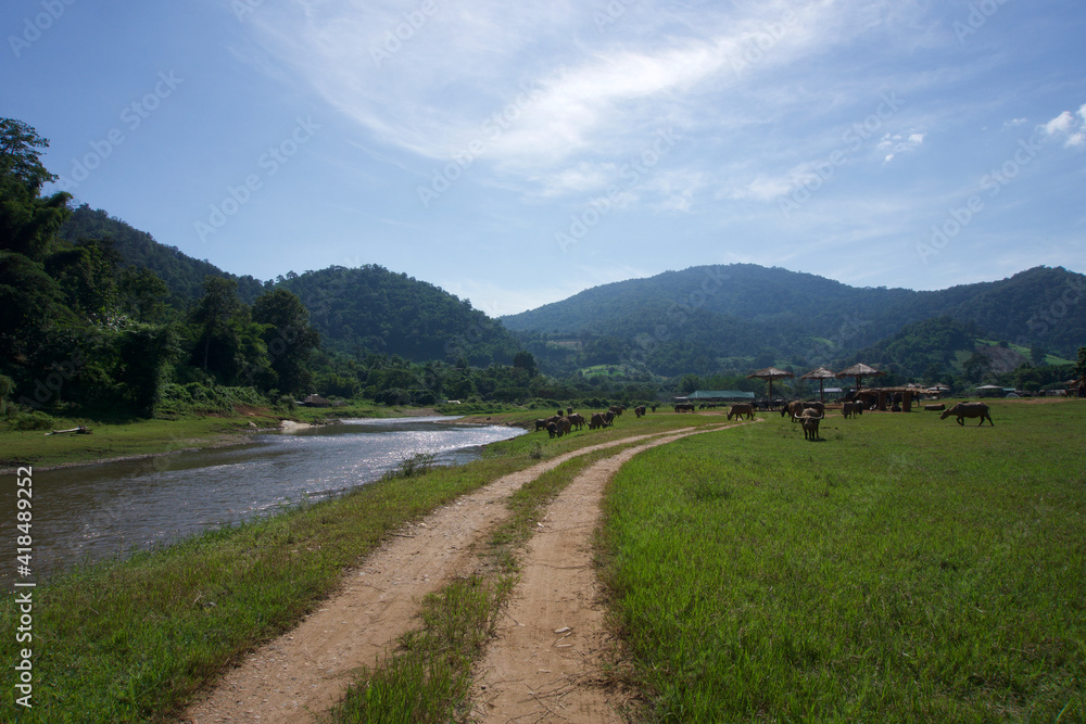 wooded hillside outside Chiang Mai in northern thailand wooded hillside outside Chiang Mai in northern thailand