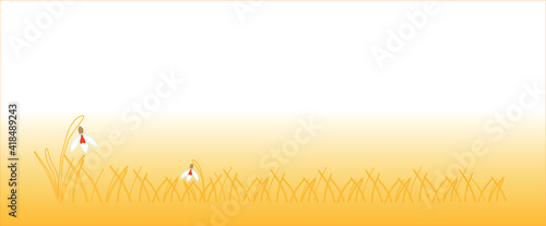 the vector image of the first spring snowdrop flower is suitable for the background of a banner, a leaflet of a web page, as well as for festive packaging for Easter gifts