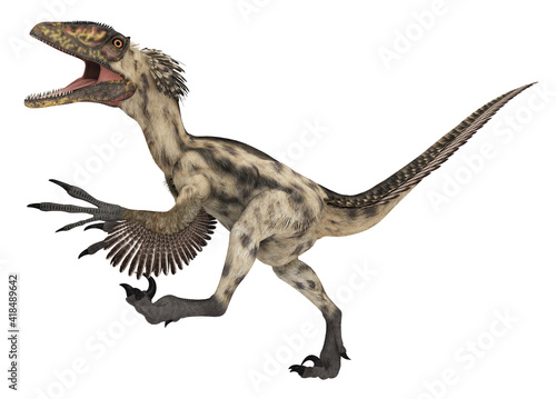 Dinosaurier Deinonychus, Freisteller © Michael Rosskothen