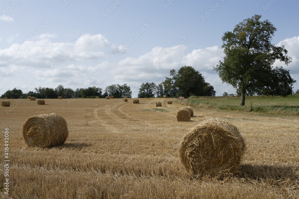 Hay bales on a bright summer day