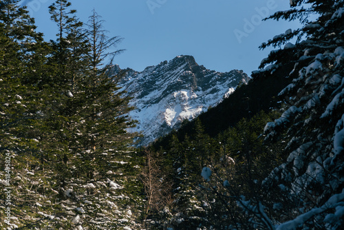 Daido shin winter stands photo