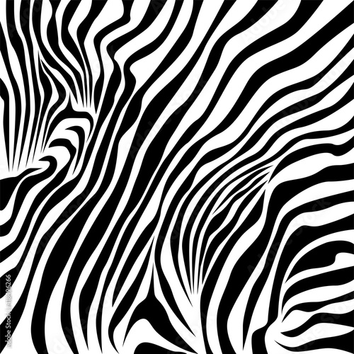 Zebra spots skin texture. African animal fur background. Spotted ornament. Vintage style. Good for wrapping  banner  fashion  textile and fabric.