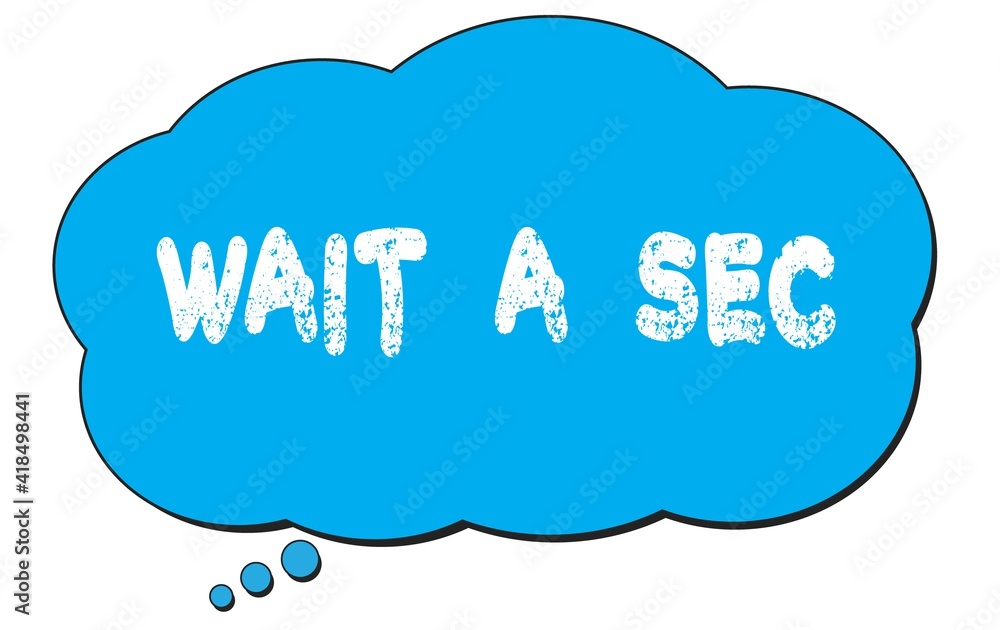 WAIT A SEC text written on a blue thought bubble. WAIT A SEC text written on a blue thought bubble.