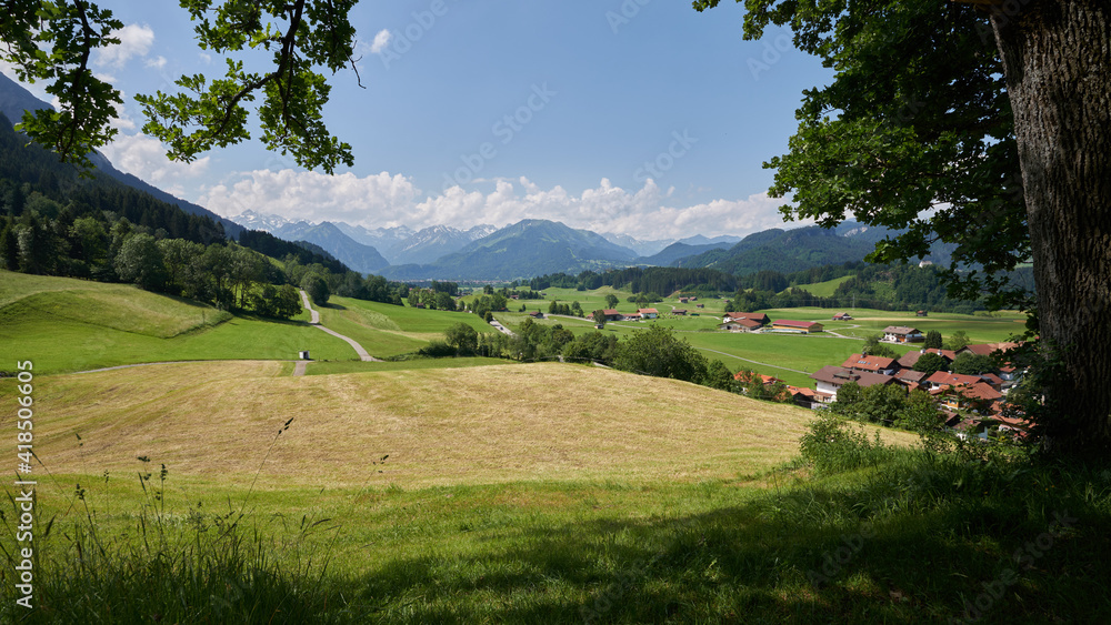 Blick vom Aussichtspunkt Buchenhain bei Schöllang über das sommerliche südliche Illertal auf die Allgäuer Alpen